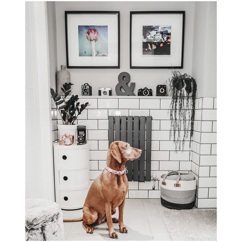 @the_chapel_conversion