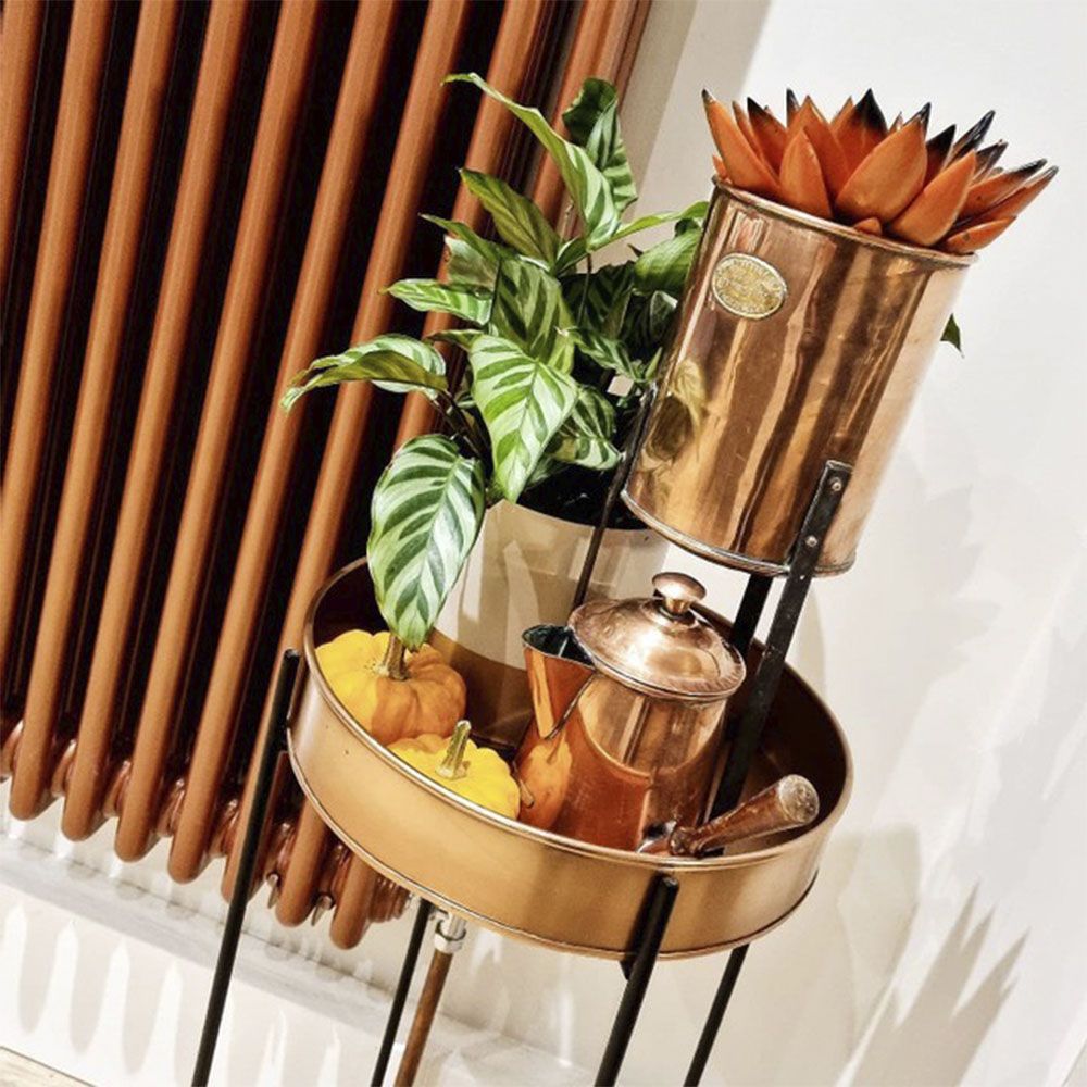 @the_nelsons_at_number_ten