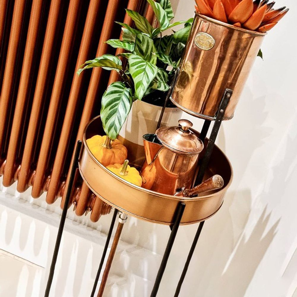 @the_nelsons_at_number_ten