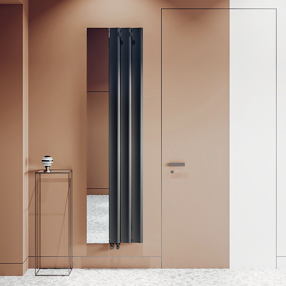 Carisa Entree - Aluminium Vertical Designer Radiator with Mirror ...
