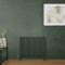 Milano Aruba Electric - Evergreen Horizontal Designer Radiator - 635mm Tall - Choice of Size, Thermostat and Cable Cover