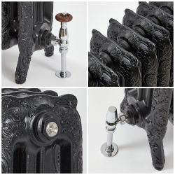Milano Beatrix - Ornate Cast Iron Radiator - 2 Column - Black