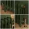 Milano Mercury - Cast Iron Radiator - 4 Column - 560mm Tall - Farrow & Ball Duck Green