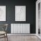 Milano Alpha - Convector Flat Panel Horizontal Designer Radiator - Everyday Colours