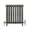 Milano Beatrix - Ornate Cast Iron Radiator - 2 Column - Antique Brass