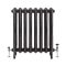 Milano Beatrix - Ornate Cast Iron Radiator - 2 Column - Black