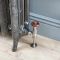 Milano Beatrix - Ornate Cast Iron Radiator - 2 Column - Dark Pewter