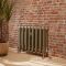 Milano Tamara - Cast Iron Radiator - 2 Column - Classic Brass